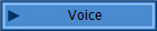 Voice