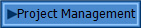 Project Management