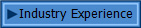 Industry Experience